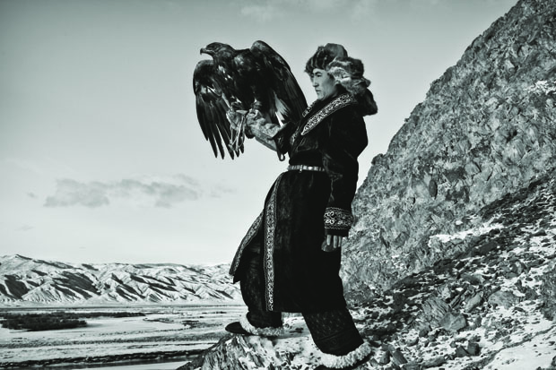 Hunting with Eagles