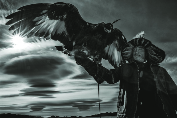 Hunting with Eagles