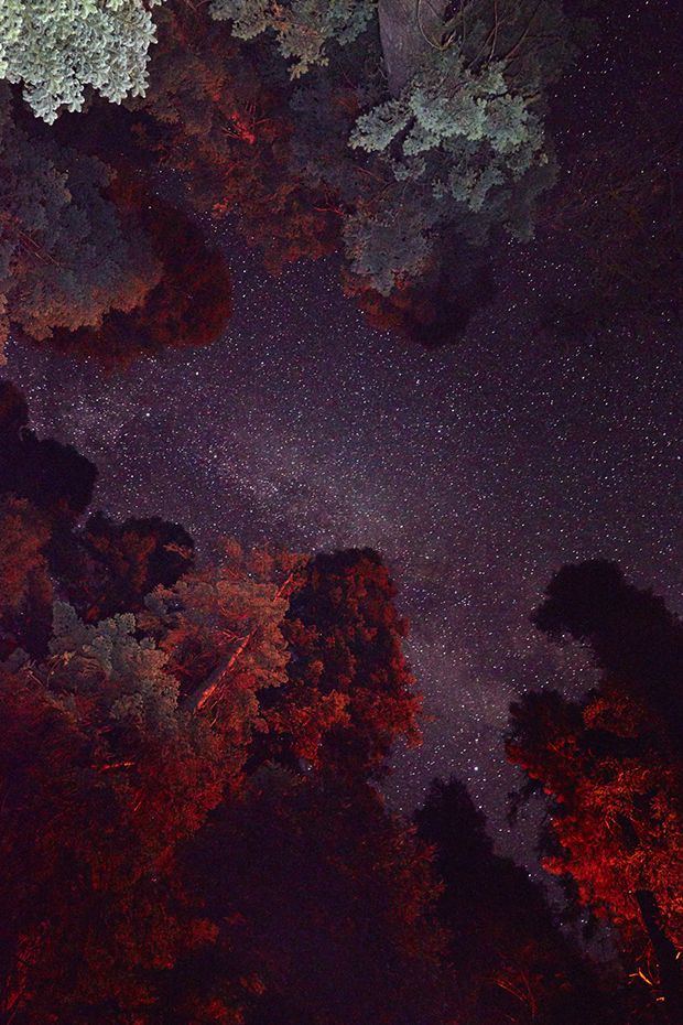 sequoia_0290_site
