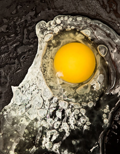 Ryan Matthew Smith S Photographs From Modernist Cuisine