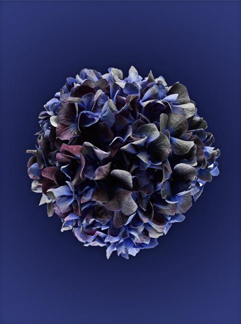 Art & Photography James Day