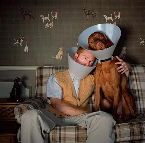 elizabethan collar human