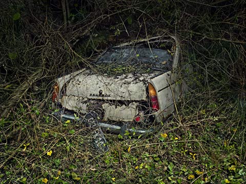 Fotografía de Peter-Lippman