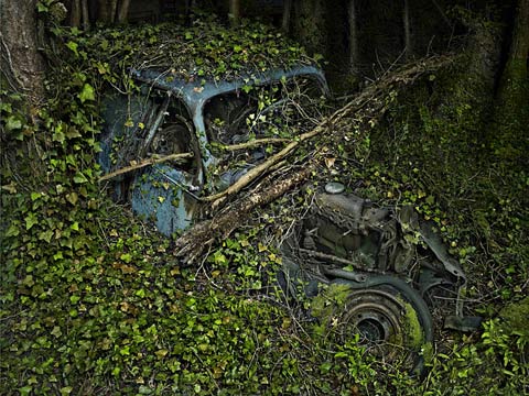 Fotografía de Peter-Lippman