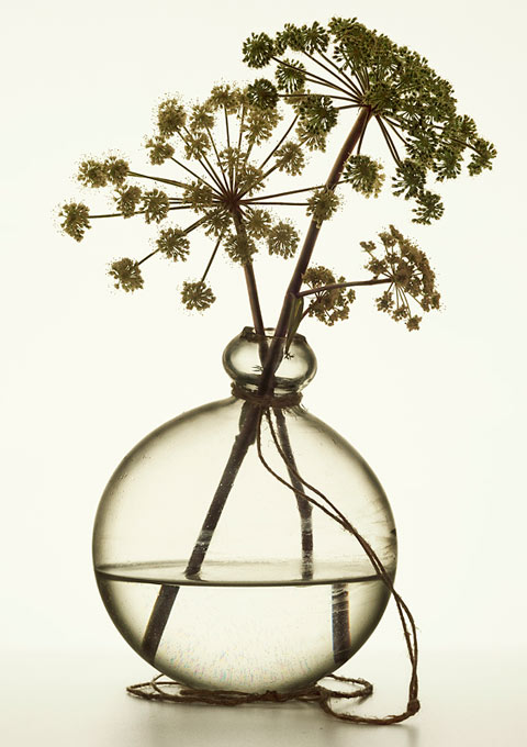 Peter Lippmann Peter Lippmann