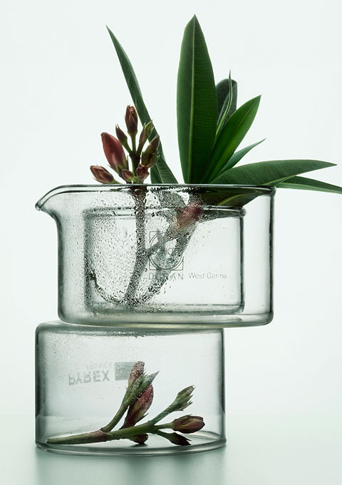 Peter Lippmann Peter Lippmann