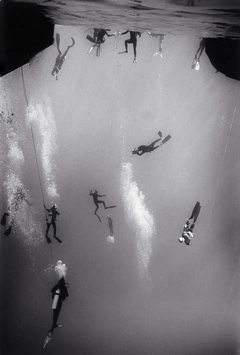 Wayne-Levin underwater photography