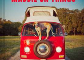 maddie-on-things book