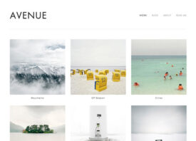 squarespace_avenue