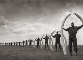 Nick Brandt