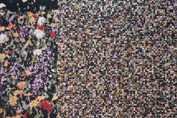 ed_spence_Photography