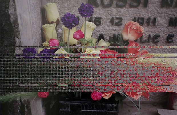 ed_spence_Photography