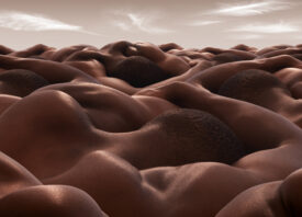 Carl Warner