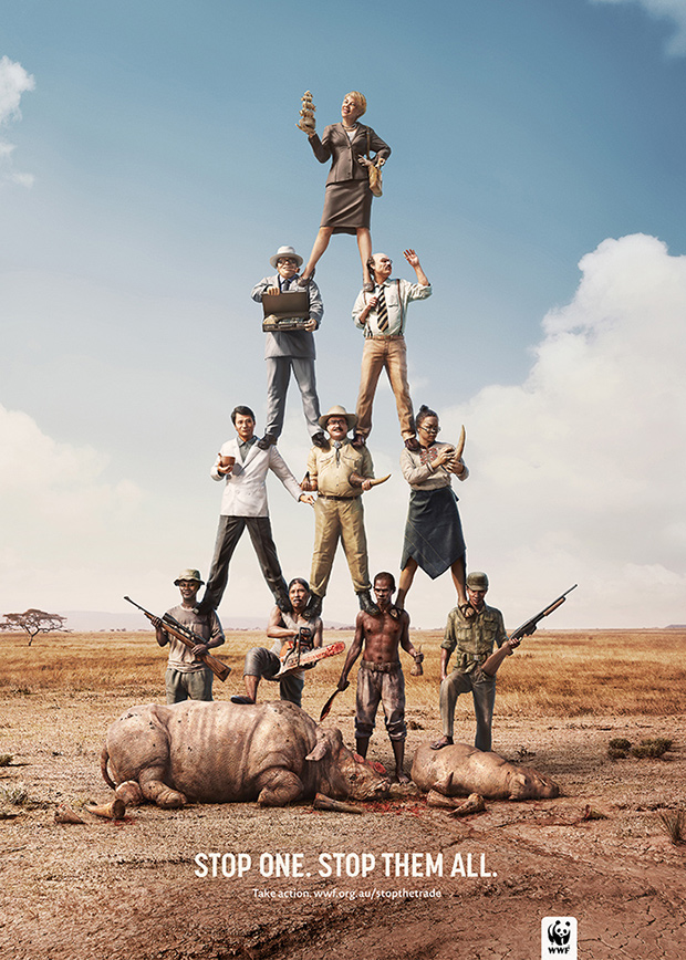 WWF Launches Compelling Campaign to Stop Crimes Against Wildlife