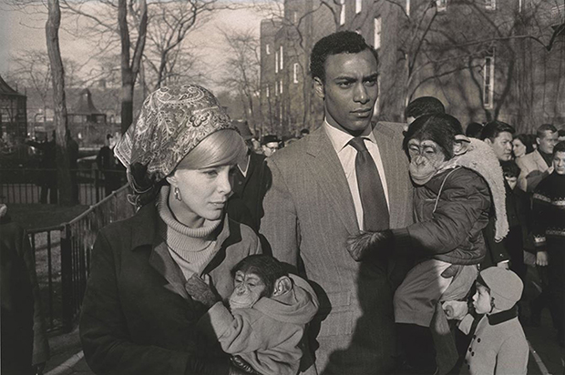 Garry Winogrand, a Godfather of Street Photography, Takes Garry Winogrand, a Godfather of Street Photography, Takes