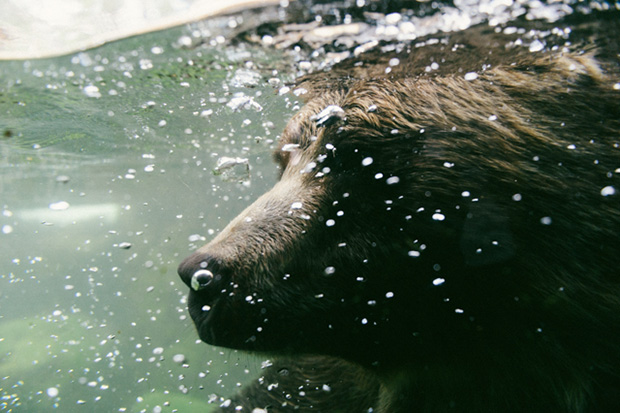 From Kazakhstan to Kentucky: 36 Photos Provide a Glimpse Inside Zoos