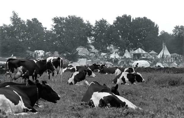 Woodstock 69435-5