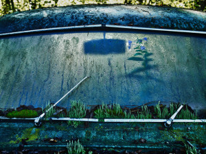 'Forest Punk': Photographer Hunts Down Abandoned Vintage Cars Lost in