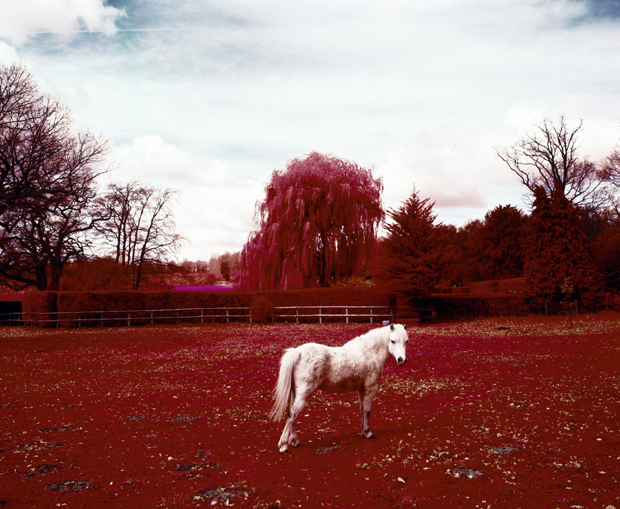 The Village. Photographs on Infrared colour film of Englands most haunted village.