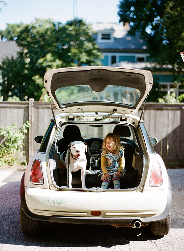 Dogs_In_Cars_88211