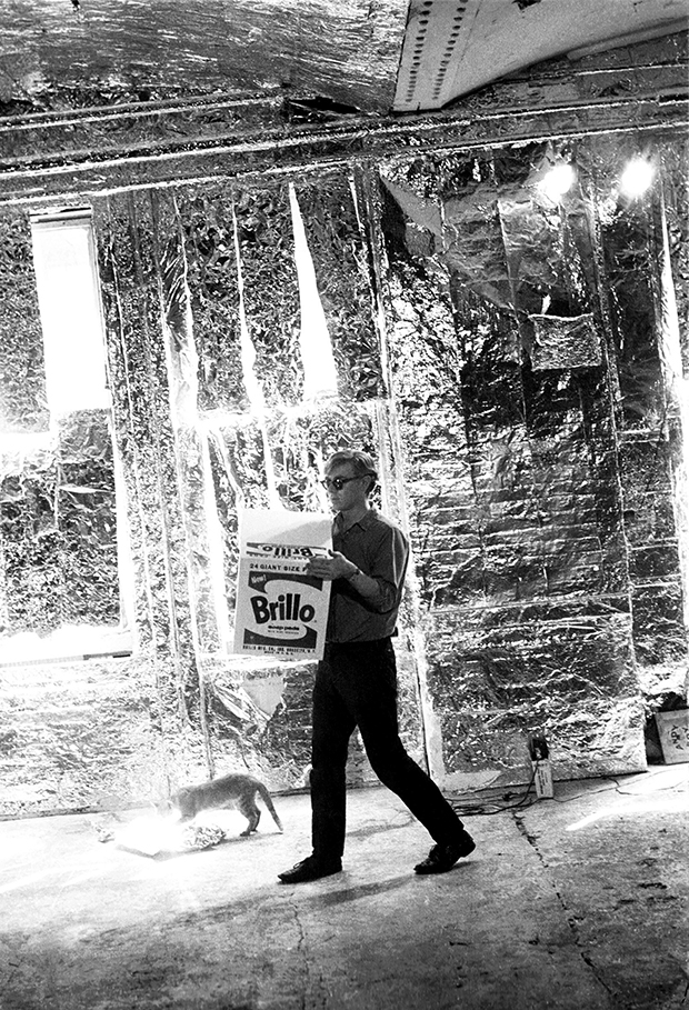 Andy Warhol with Brillo Box and Ruby the cat, 1964