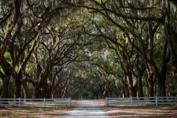 These 19 Photos of the Open Road Take Us on a Beautiful Journey From ...