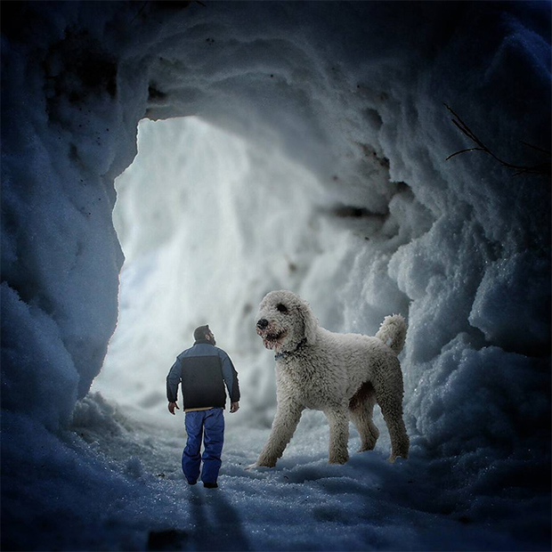 Sweet Photos of a Man and His Best Friend, A Giant Dog Feature Shoot