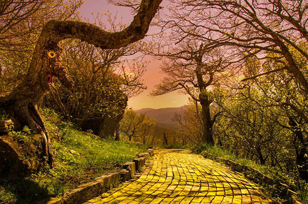 An Unforgettable Look At Abandoned Wizard Of Oz Theme Park Lawless 11