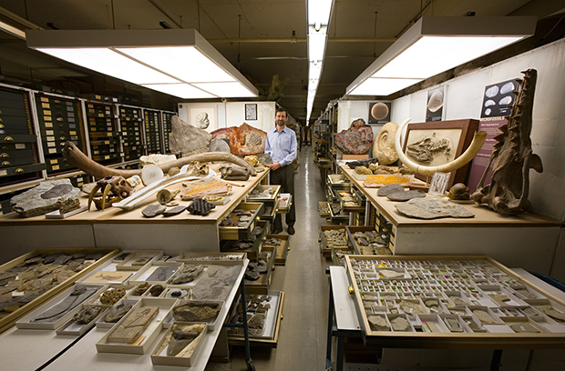 Paleobiology Collections, National Museum of Natural History