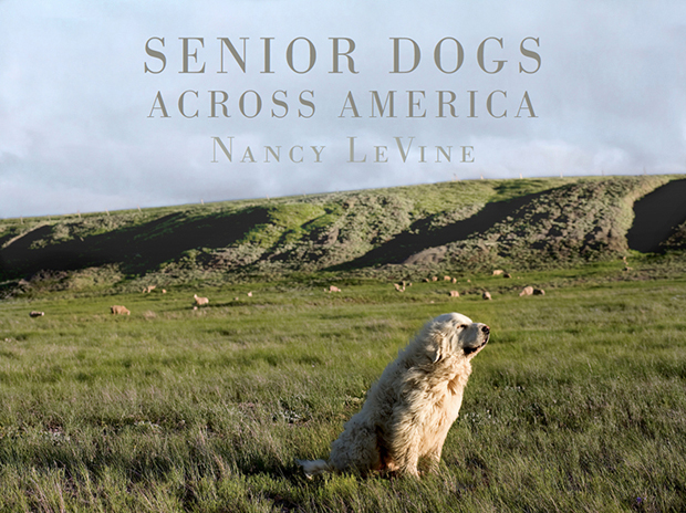 Cover _Senior Dogs Across America 620 px