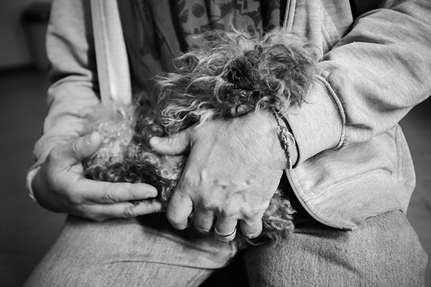 Shocking Photos Taken Behind The Scenes At Puppy Mills Feature Shoot