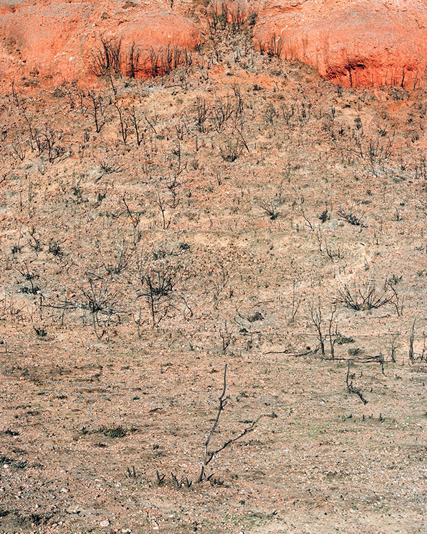 The Story of a Landscape Ravaged by Wildfires, in Photos - Feature Shoot