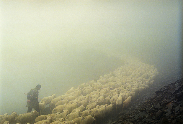 Dmitry Gomberg