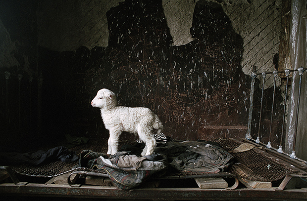 Dmitry Gomberg