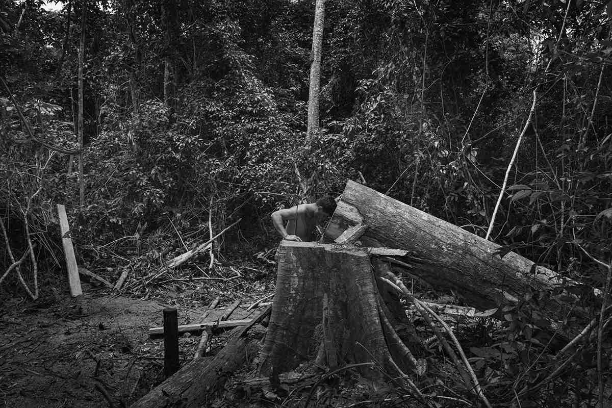 The Destruction Of The Amazon In Photos