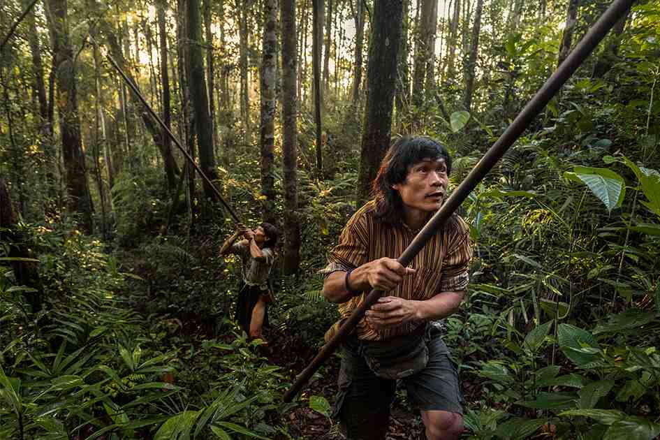 The Last Hunter Gatherers Of Borneo Feature Shoot The Last Hunter Gatherers Of Borneo Feature Shoot