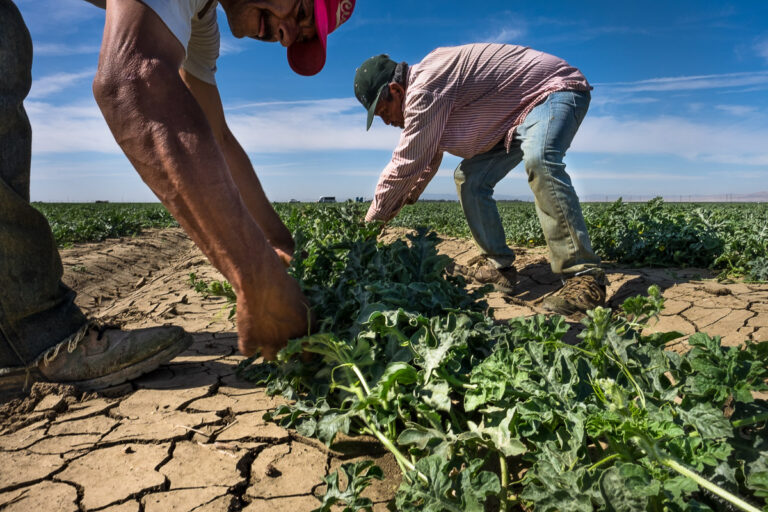 Climate Change, Drought, and Water Contamination The Untold Story of