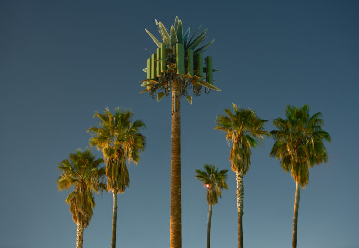 These Cell Towers Disguised as Trees Are the Height of Absurdity