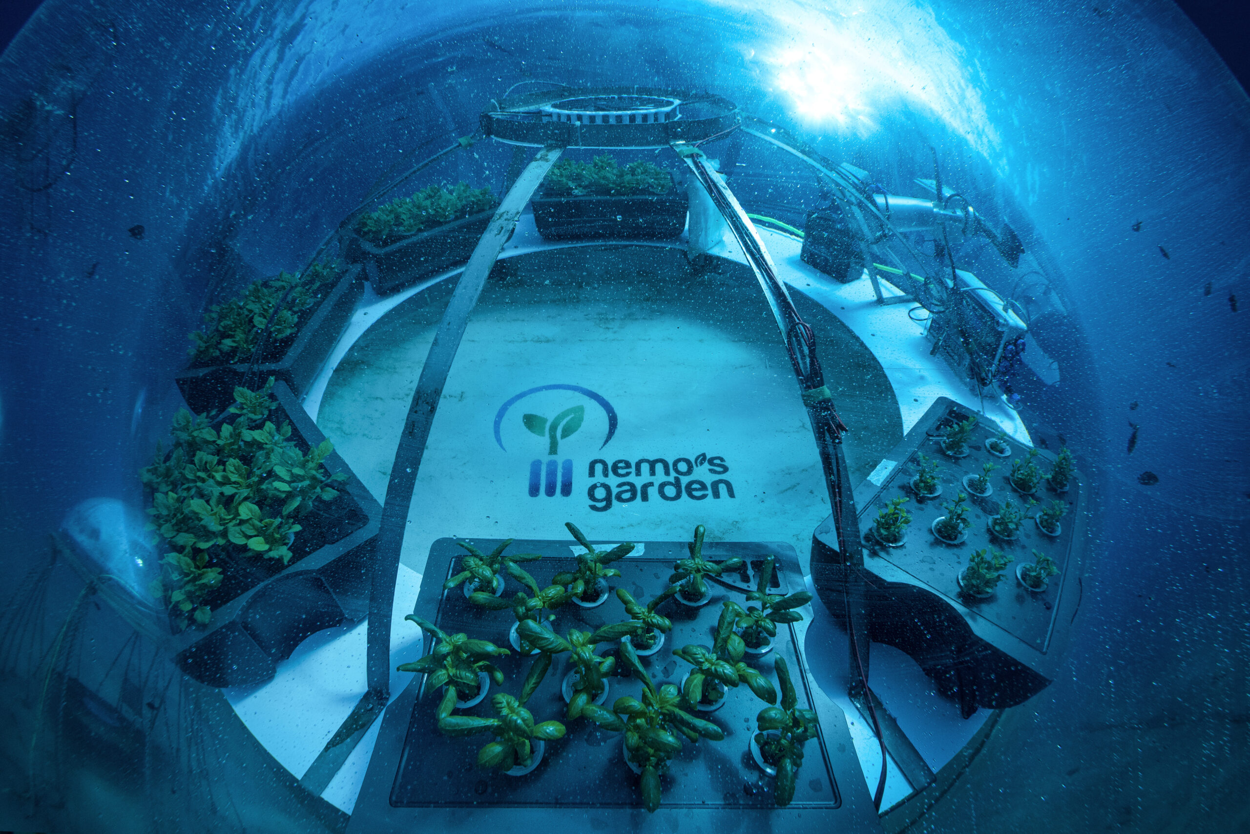 The Nemo's Garden - Feature Shoot