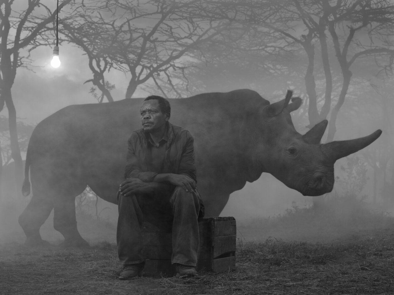 Nick Brandt and Jo-Anne McArthur On Photography and Creating Change for Animals