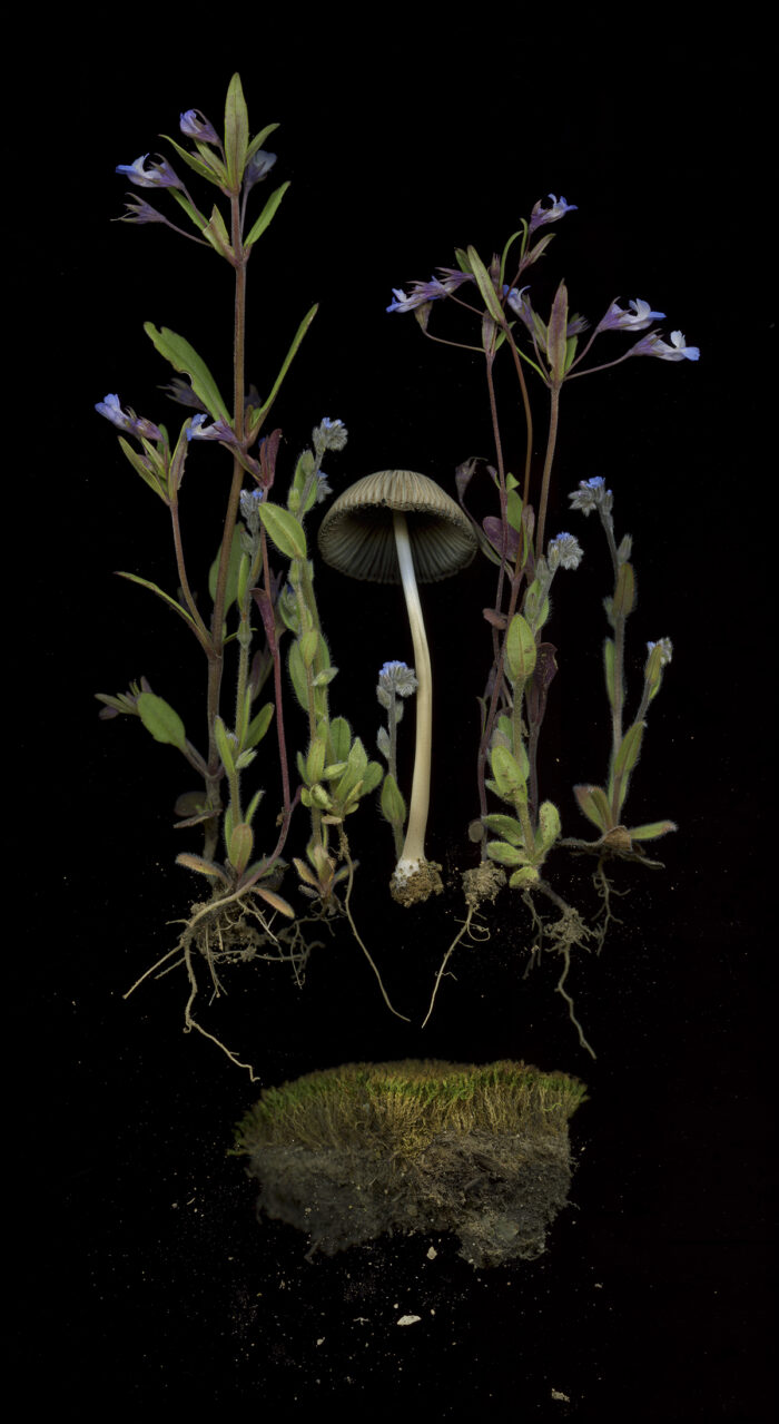 Retro camper christmas shoot