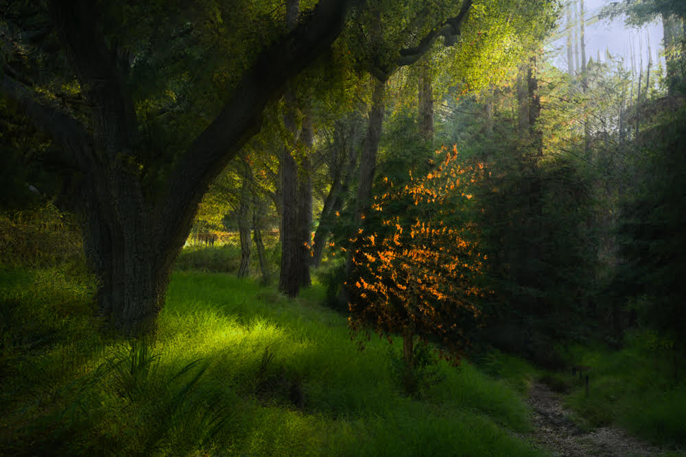 Photographer Lev L. Spiro Captures the Feeling of Thin Places